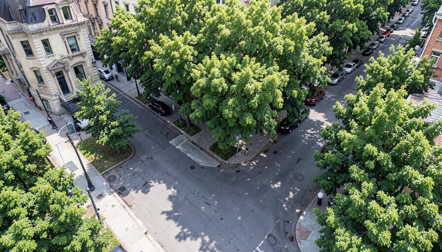 Aerial view of a quiet city street corner with green trees and soft shadows